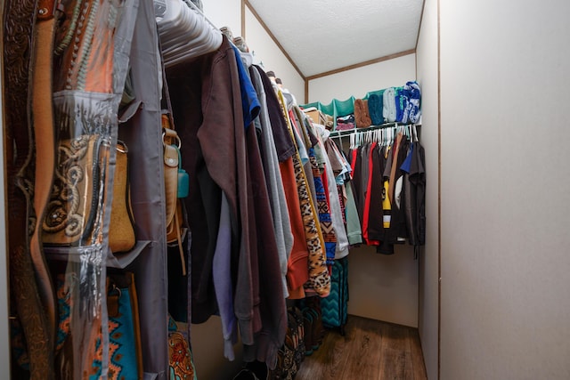 walk in closet featuring wood finished floors