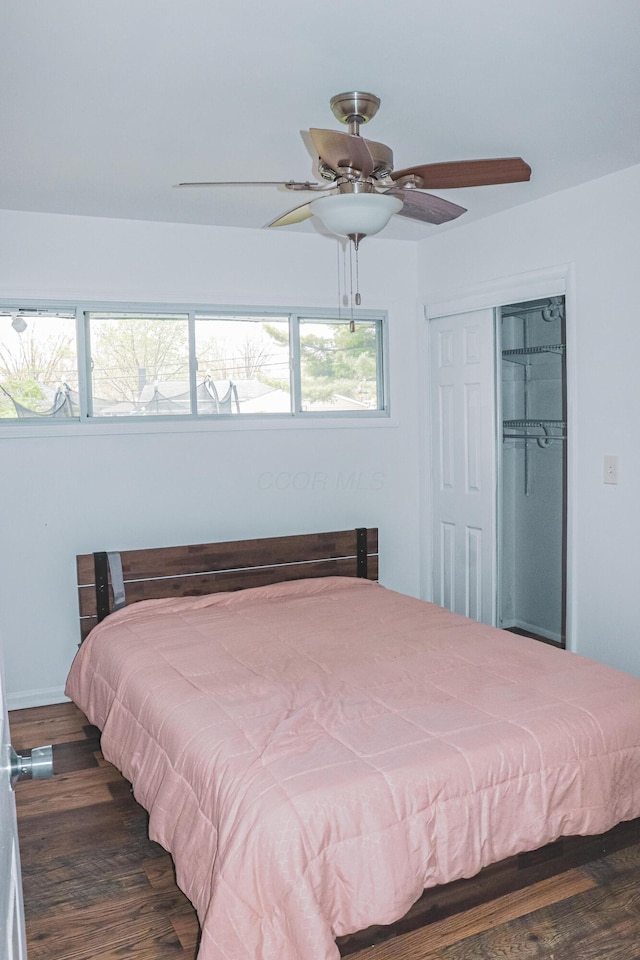4620 Boynton Pl, Columbus, OH 43227 - bedroom featuring a closet, a ceiling fan, and dark wood-style floors