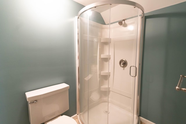 full bathroom with toilet and a stall shower