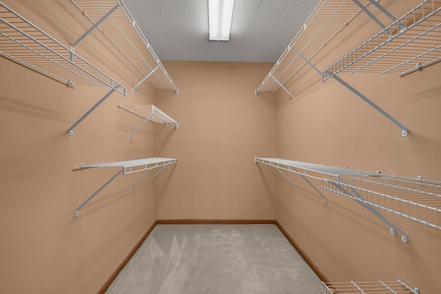 walk in closet with carpet flooring