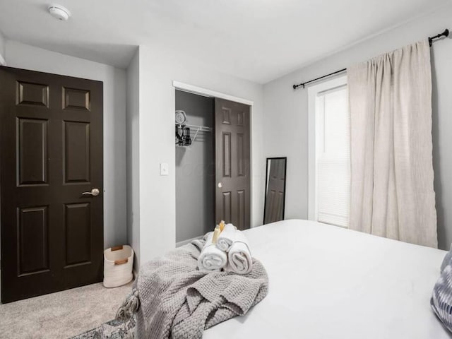 85 Dana Ave, Columbus, OH 43222 - bedroom with carpet floors and a closet