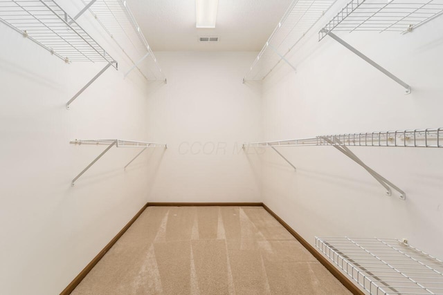 walk in closet featuring carpet floors