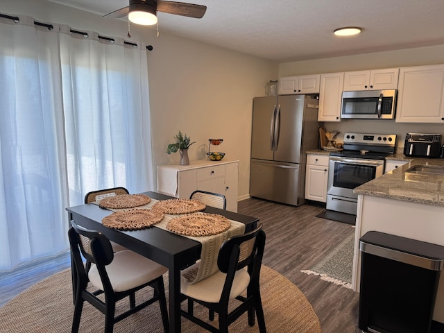kitchen with a ceiling fan, white cabinets, a sink, stainless steel appliances, and dark wood-style floors