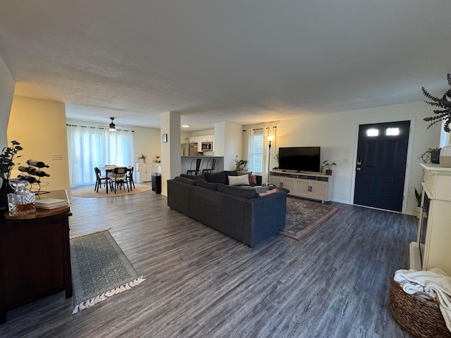 living area featuring dark wood finished floors