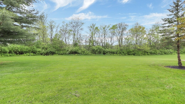 3448 Ostrander Rd, Ostrander, OH 43061 - view of grassy yard
