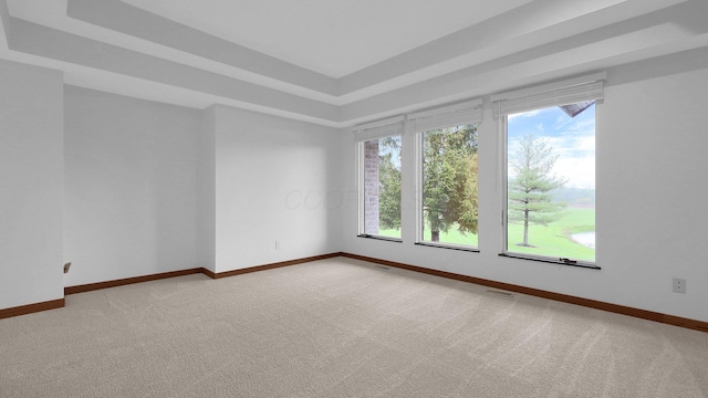 3448 Ostrander Rd, Ostrander, OH 43061 - empty room with light carpet, baseboards, and a tray ceiling