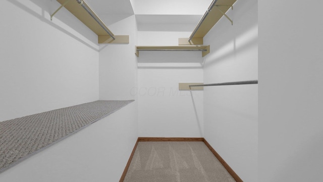 3448 Ostrander Rd, Ostrander, OH 43061 - walk in closet with carpet floors