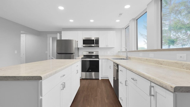 3448 Ostrander Rd, Ostrander, OH 43061 - kitchen featuring stainless steel appliances, a sink, recessed lighting, a center island, and dark wood-style floors