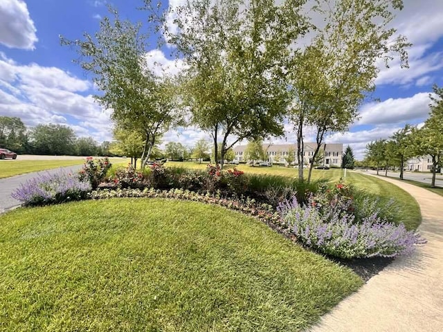 5492 Sentinel Falls St, Dublin, OH 43016 - view of grassy yard