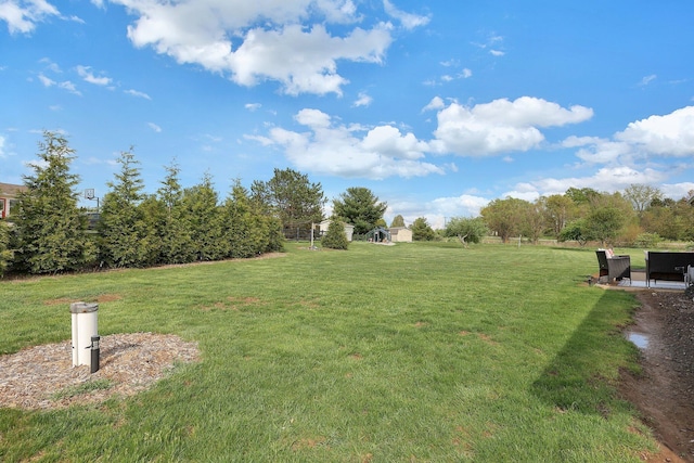 view of yard
