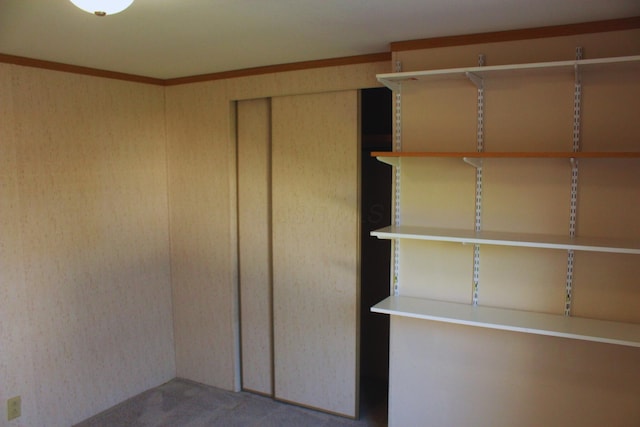 45 Ravine Ridge Dr, Delaware, OH 43015 - interior space with carpet