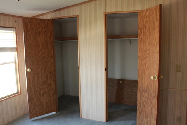 45 Ravine Ridge Dr, Delaware, OH 43015 - unfurnished bedroom with carpet, multiple windows, and wallpapered walls