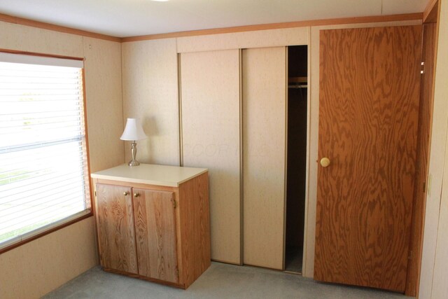 45 Ravine Ridge Dr, Delaware, OH 43015 - bedroom featuring a closet and light colored carpet