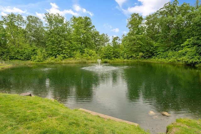 155 Arrowfeather Ln, Lewis Center, OH 43035 - water view featuring a heavily wooded area