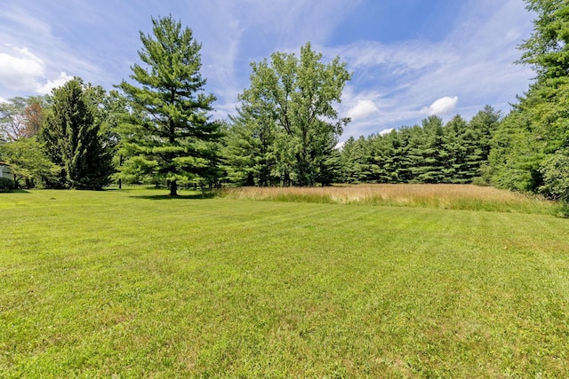 8019 Clouse Rd, New Albany, OH 43054 - view of green lawn