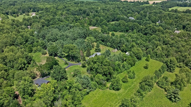 8019 Clouse Rd, New Albany, OH 43054 - aerial view of property's location featuring a forest