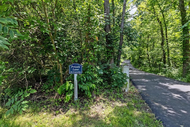 8019 Clouse Rd, New Albany, OH 43054 - view of street featuring a forest view