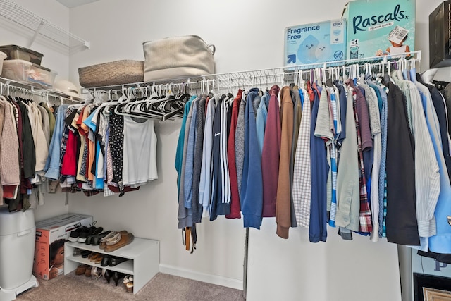 spacious closet featuring carpet flooring