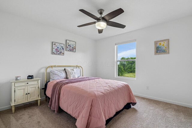 12181 Prairie View Dr NW, Pickerington, OH 43147 - photo 29