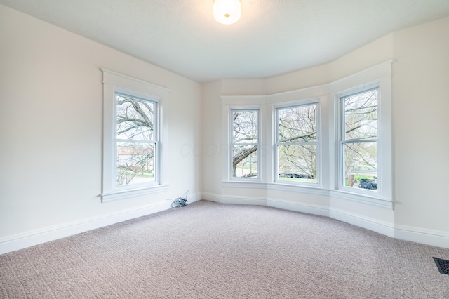 spare room featuring baseboards and light carpet