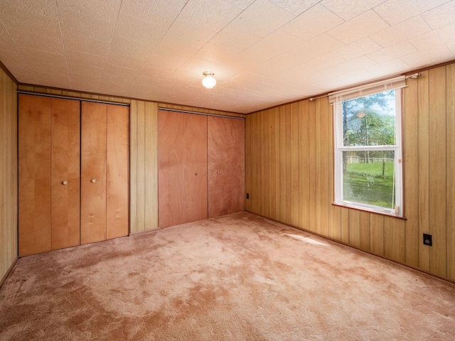 88 Tallman St, North Lewisburg, OH 43060 - unfurnished bedroom featuring carpet floors and wood walls
