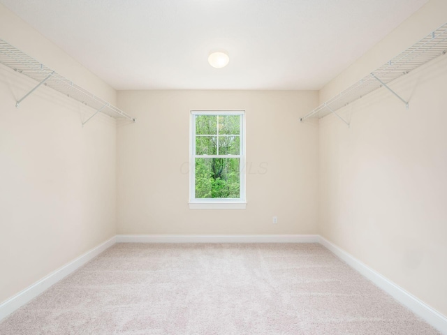 9684 Shawnee Trl, Powell, OH 43065 - walk in closet featuring carpet flooring