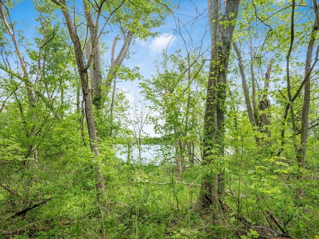 9684 Shawnee Trl, Powell, OH 43065 - view of woods