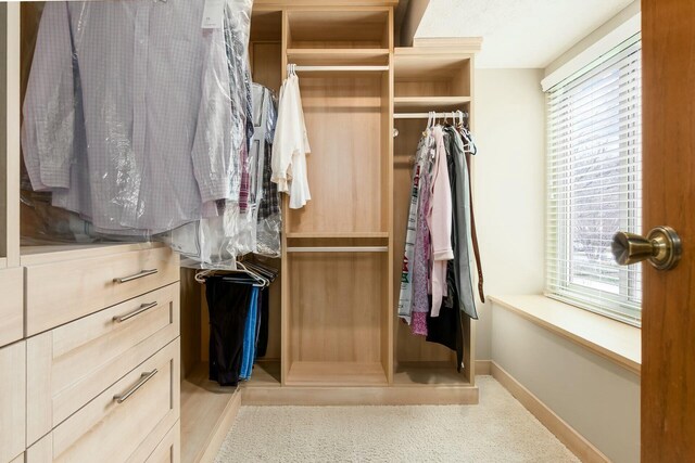 view of spacious closet