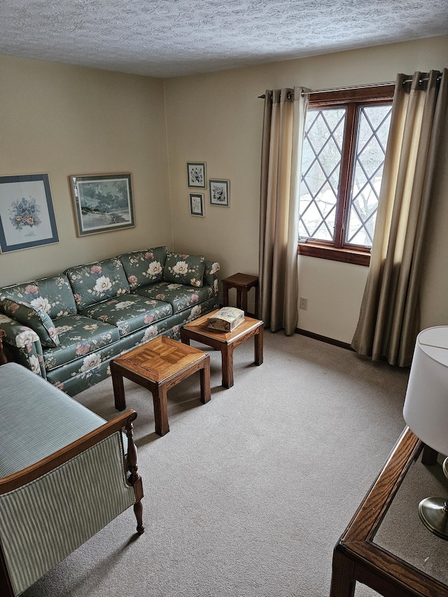 7918 Sethwick Rd, Dublin, OH 43016 - living room featuring carpet floors and a textured ceiling