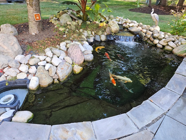 7918 Sethwick Rd, Dublin, OH 43016 - exterior view of a garden pond