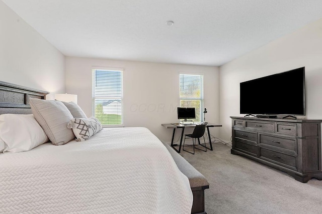 2418 Home Rd, Powell, OH 43065 - bedroom with light carpet