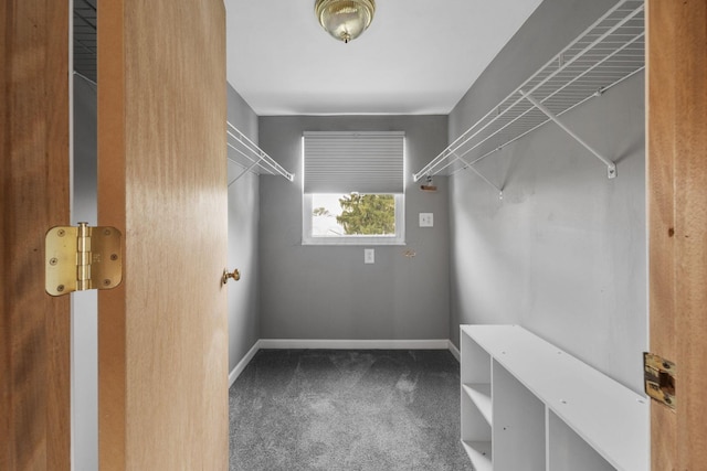 876 Palmer Rd, Columbus, OH 43212 - spacious closet featuring carpet