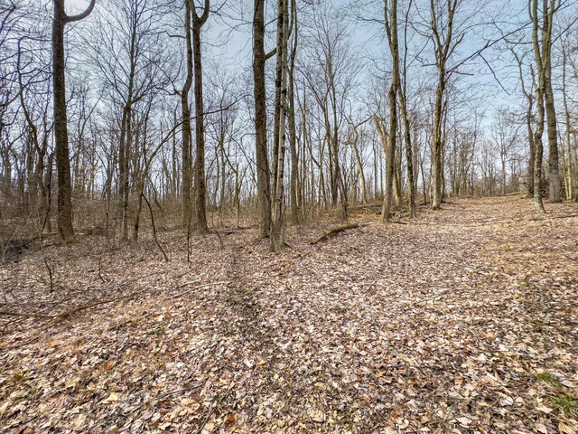 0 Mulberry Rd SE, Mount Perry, OH 43760 - photo 7