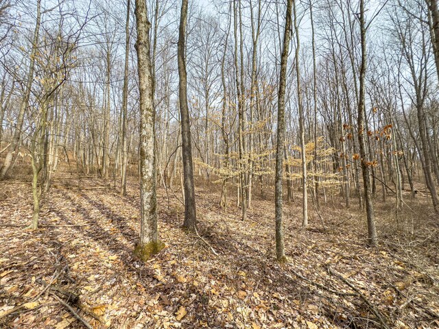 0 Mulberry Rd SE, Mount Perry, OH 43760 - photo 11