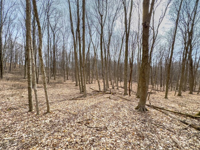 0 Mulberry Rd SE, Mount Perry, OH 43760 - photo 12