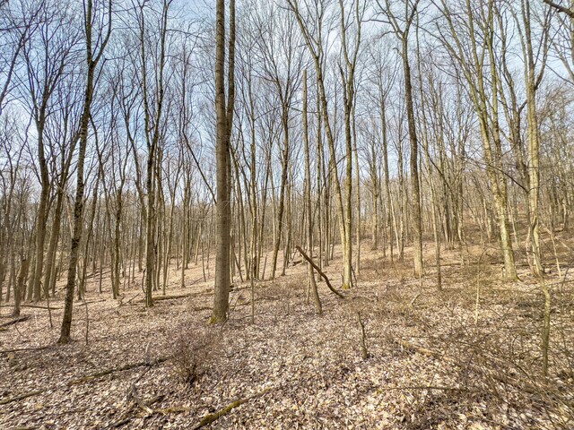 0 Mulberry Rd SE, Mount Perry, OH 43760 - photo 13