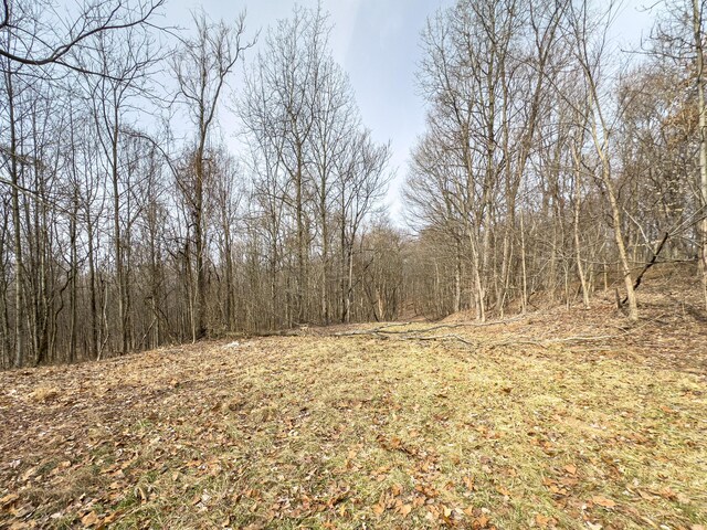0 Mulberry Rd SE, Mount Perry, OH 43760 - photo 15