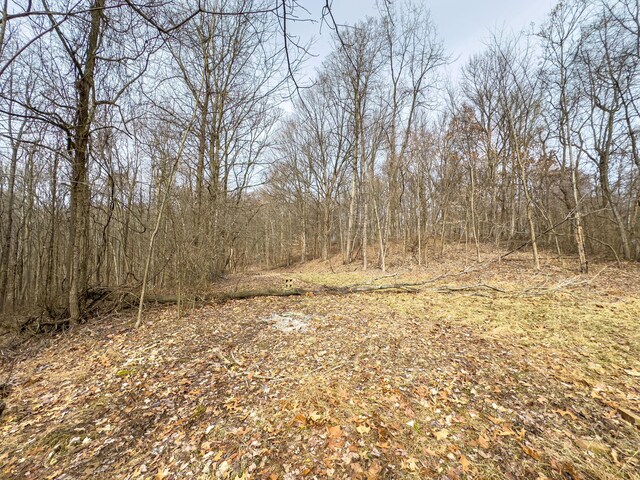 0 Mulberry Rd SE, Mount Perry, OH 43760 - photo 16