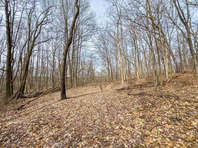 0 Mulberry Rd SE, Mount Perry, OH 43760 - photo 17