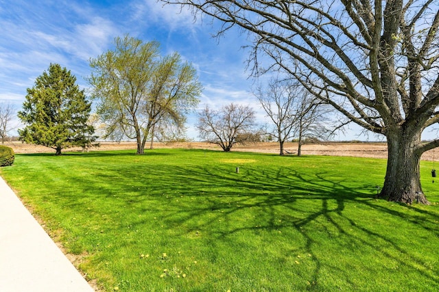view of yard