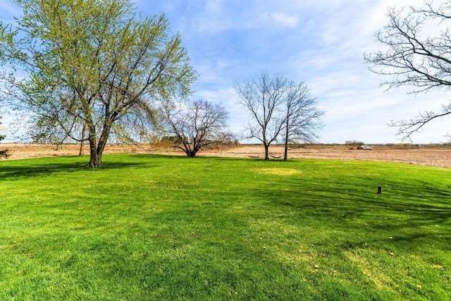 view of yard featuring a rural view
