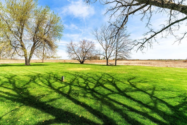 view of yard featuring a rural view