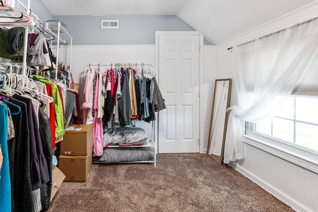 walk in closet with vaulted ceiling, visible vents, and carpet flooring