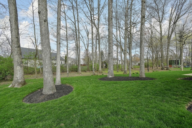 12372 Brook Forest Cir NW, Pickerington, OH 43147 - view of yard