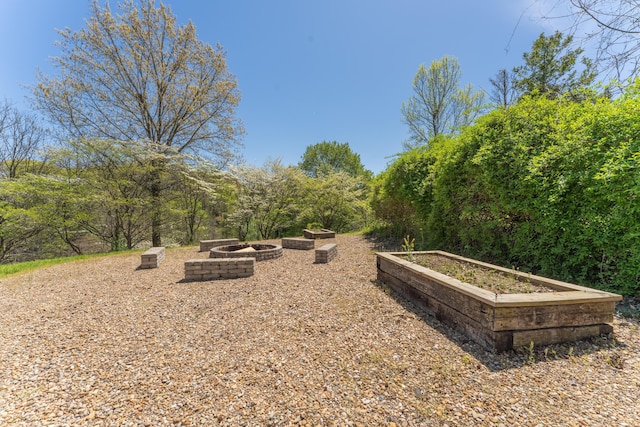 view of yard with a fire pit and a vegetable garden