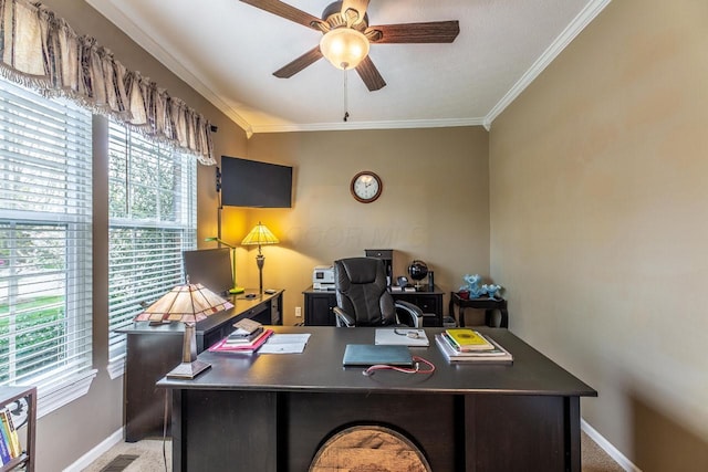 8181 Trail Lake Dr, Powell, OH 43065 - carpeted office space with a wealth of natural light, ceiling fan, and crown molding
