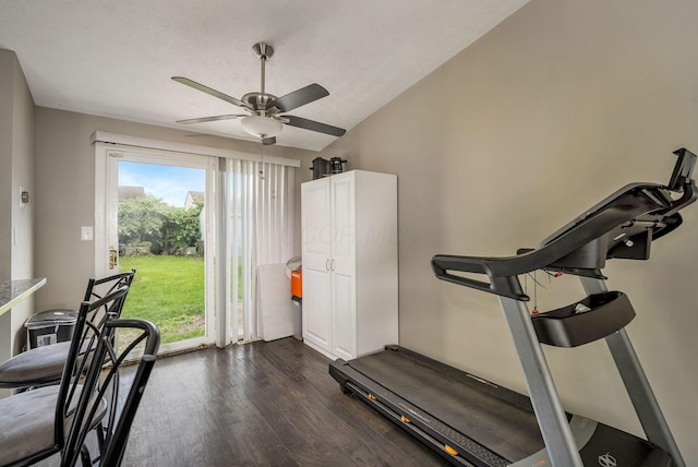 2495 Hingham Ln, Columbus, OH 43224 - workout room featuring dark wood-style flooring, a ceiling fan, and a textured ceiling