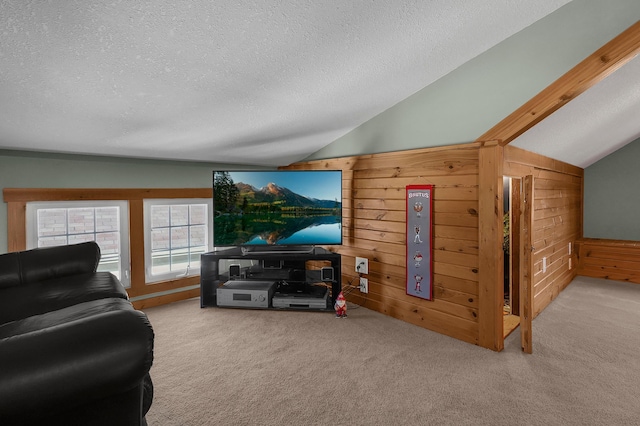 117 Fairfield Ave, Newark, OH 43055 - carpeted living area with lofted ceiling and a textured ceiling