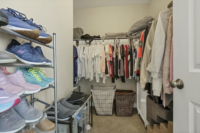 114 Hummock Dr, Etna, OH 43062 - walk in closet with carpet flooring