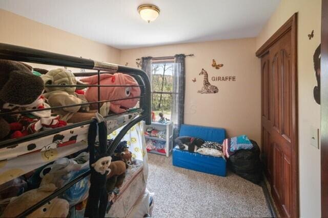 bedroom featuring carpet floors
